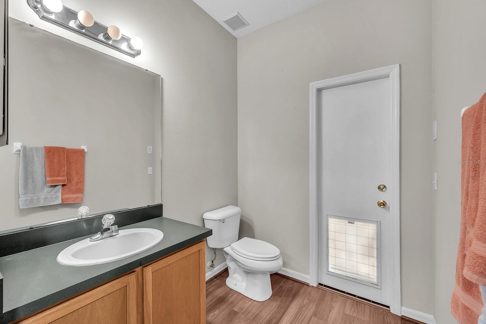 Single Family Residence at 16306 DORMAN RD, LITHIA, photo 21 of 54