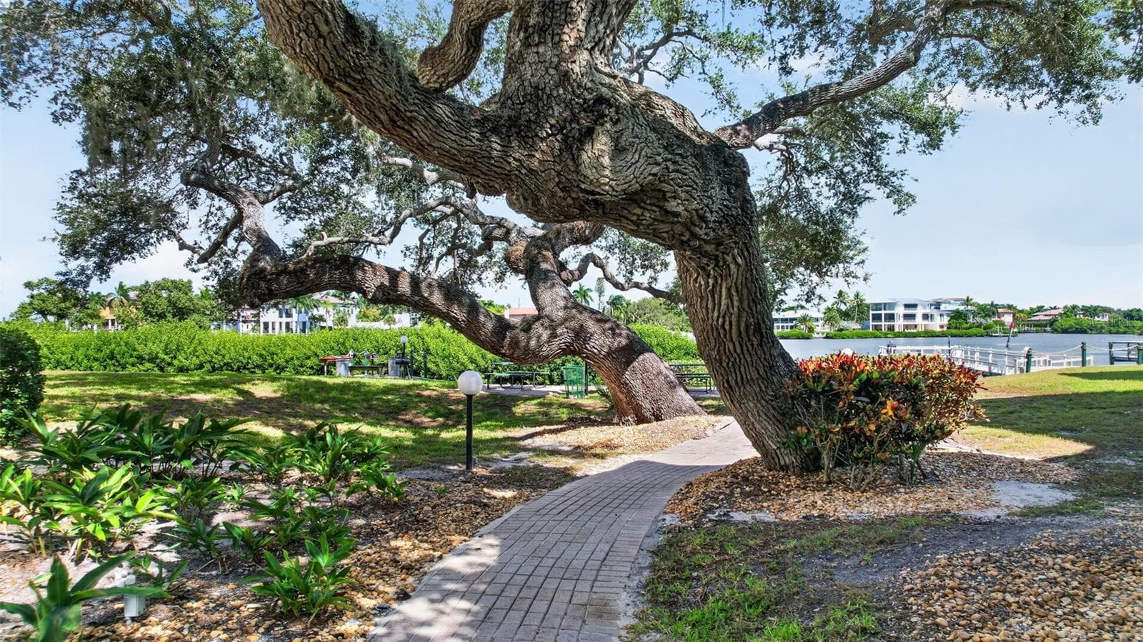 Park like setting. - 6157 MIDNIGHT PASS RD #E53, SARASOTA