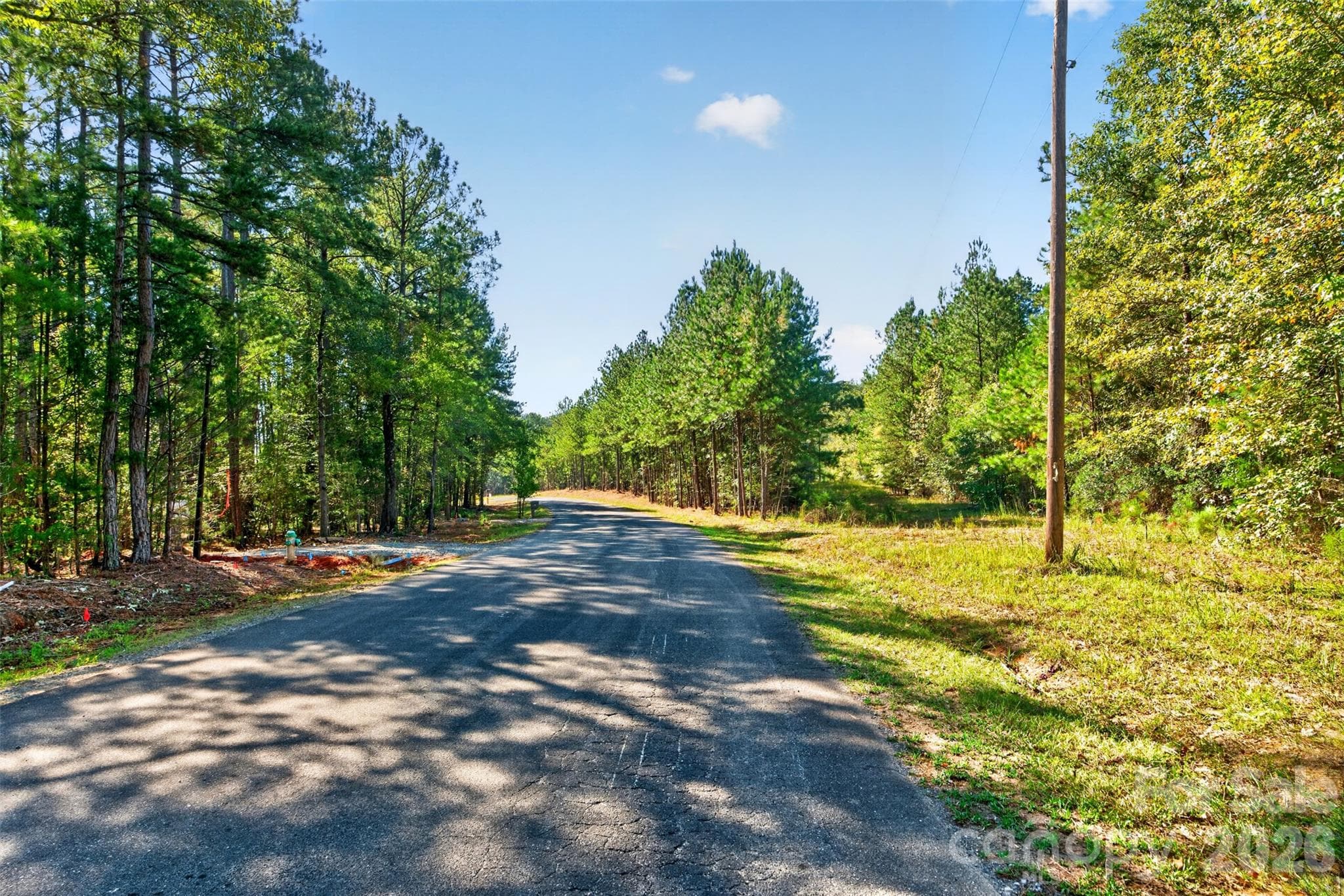 Acreage at 0 Hwy 21 & Brunson Rd Brunson Road, Fort Lawn, photo 10 of 26