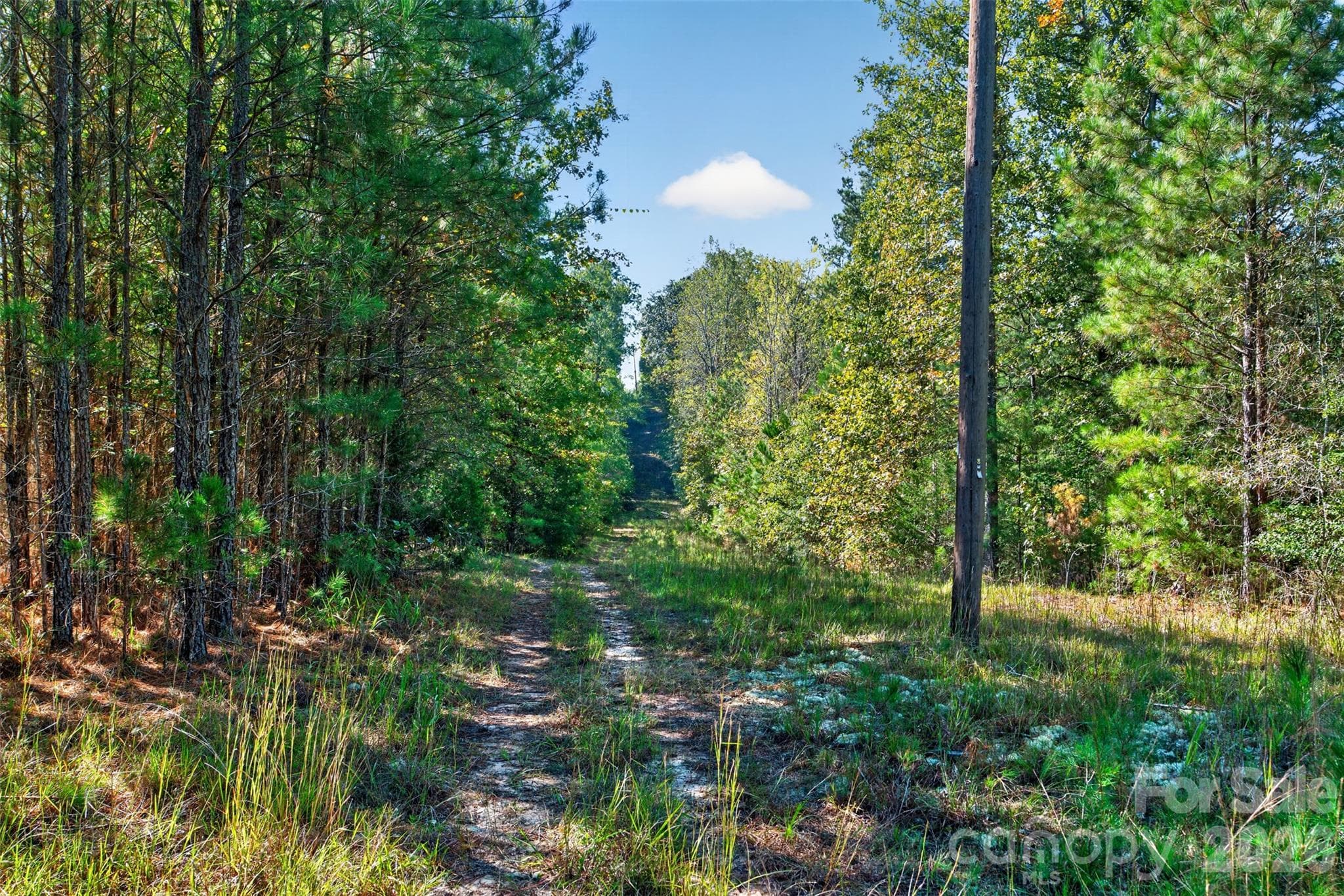 Acreage at 0 Hwy 21 & Brunson Rd Brunson Road, Fort Lawn, photo 12 of 26