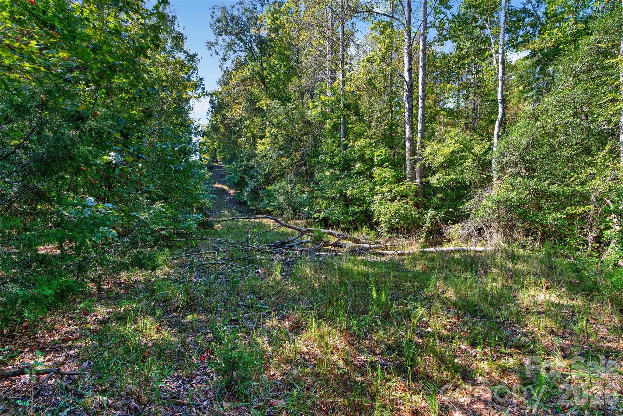 Acreage at 0 Hwy 21 & Brunson Rd Brunson Road, Fort Lawn, photo 14 of 26