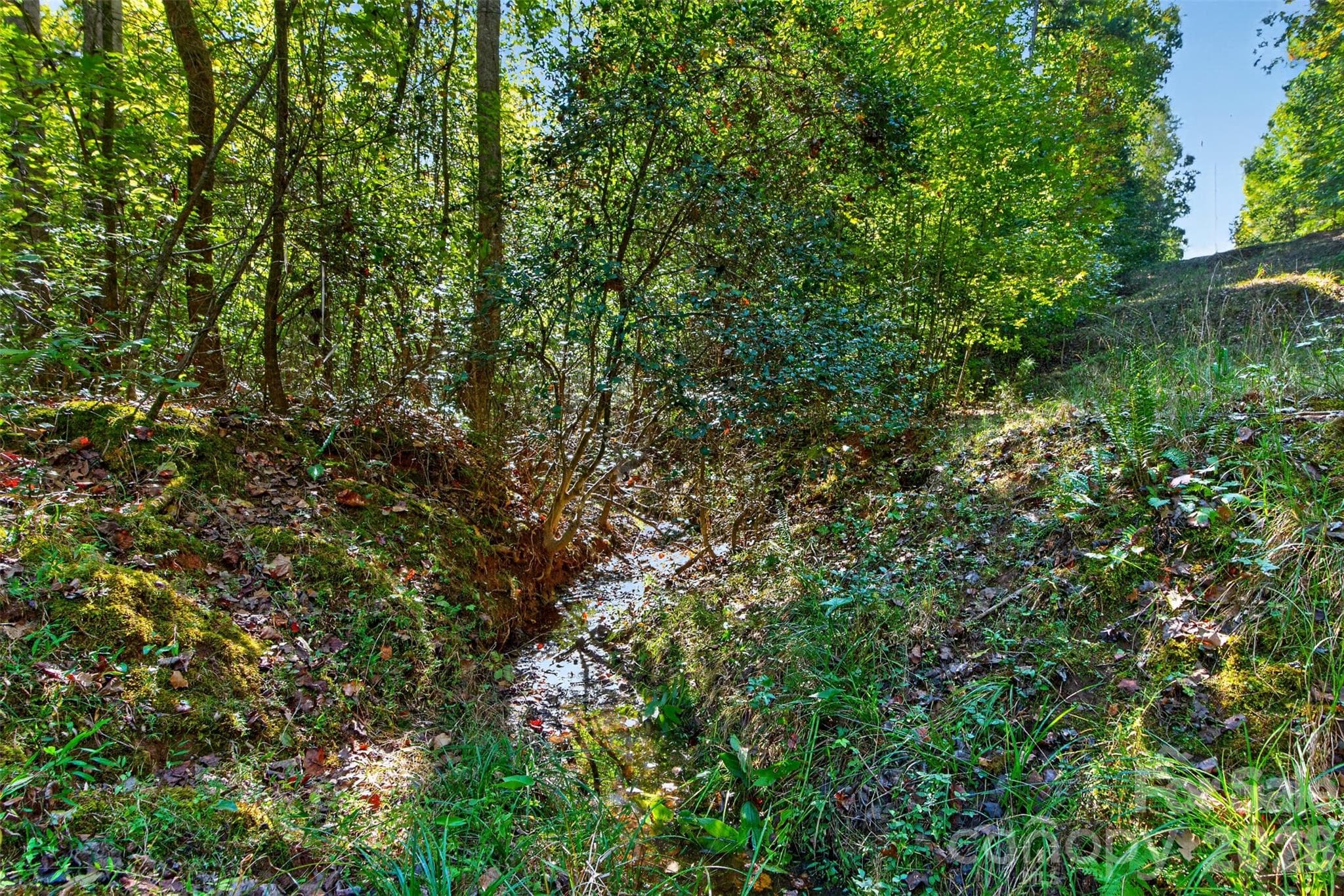 Acreage at 0 Hwy 21 & Brunson Rd Brunson Road, Fort Lawn, photo 15 of 26