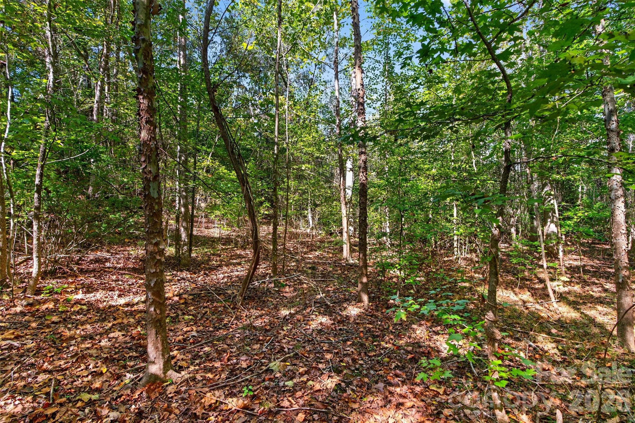 Acreage at 0 Hwy 21 & Brunson Rd Brunson Road, Fort Lawn, photo 18 of 26