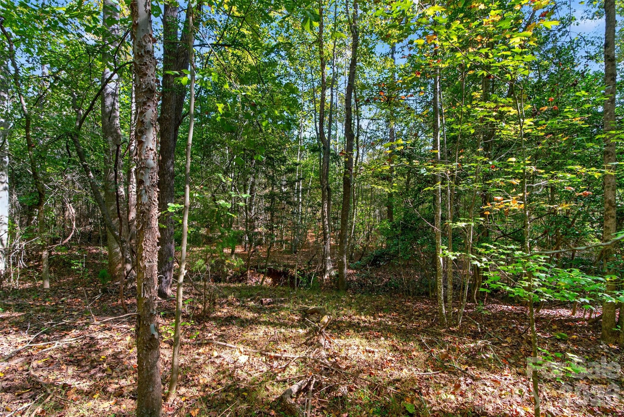 Acreage at 0 Hwy 21 & Brunson Rd Brunson Road, Fort Lawn, photo 20 of 26
