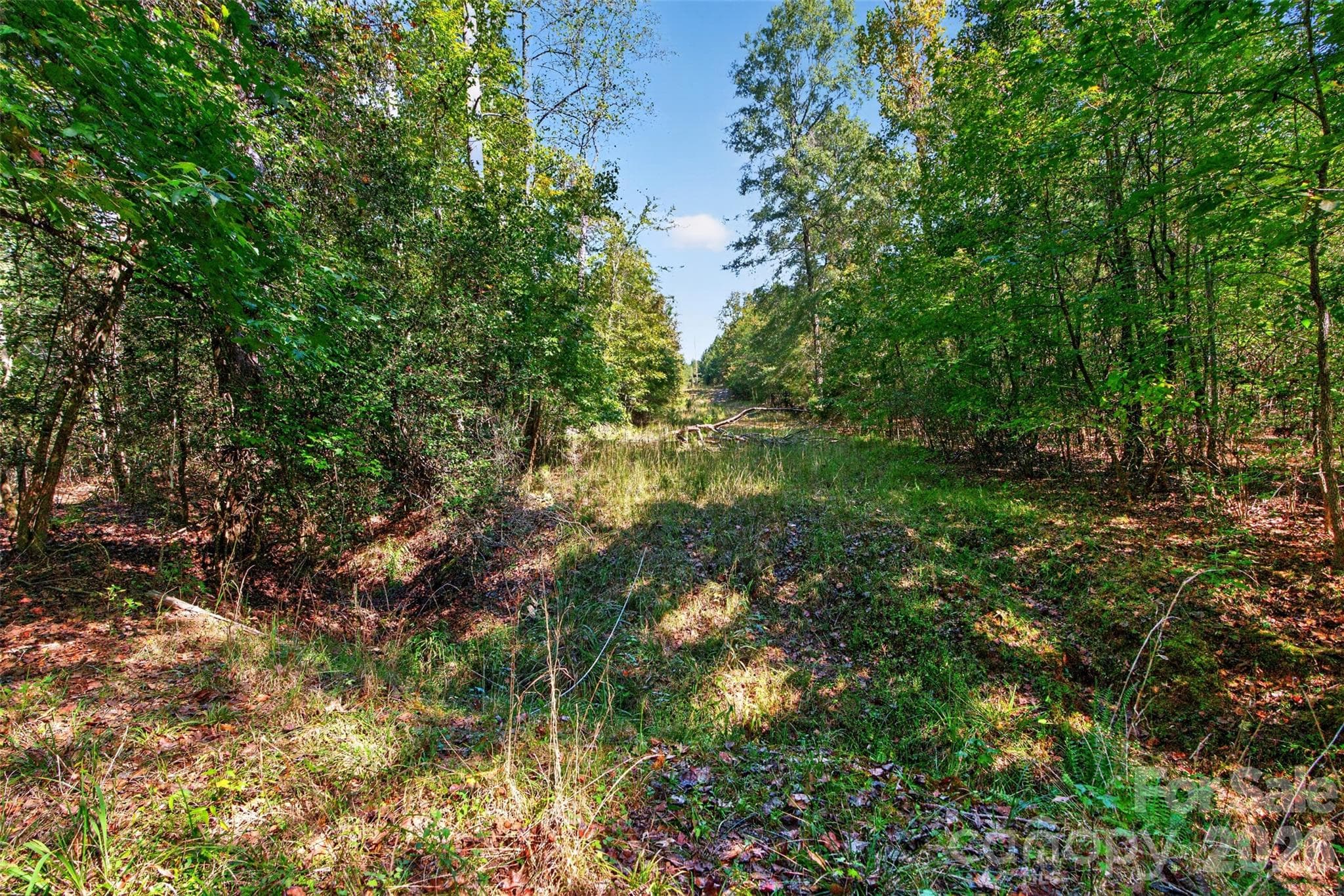 Acreage at 0 Hwy 21 & Brunson Rd Brunson Road, Fort Lawn, photo 23 of 26