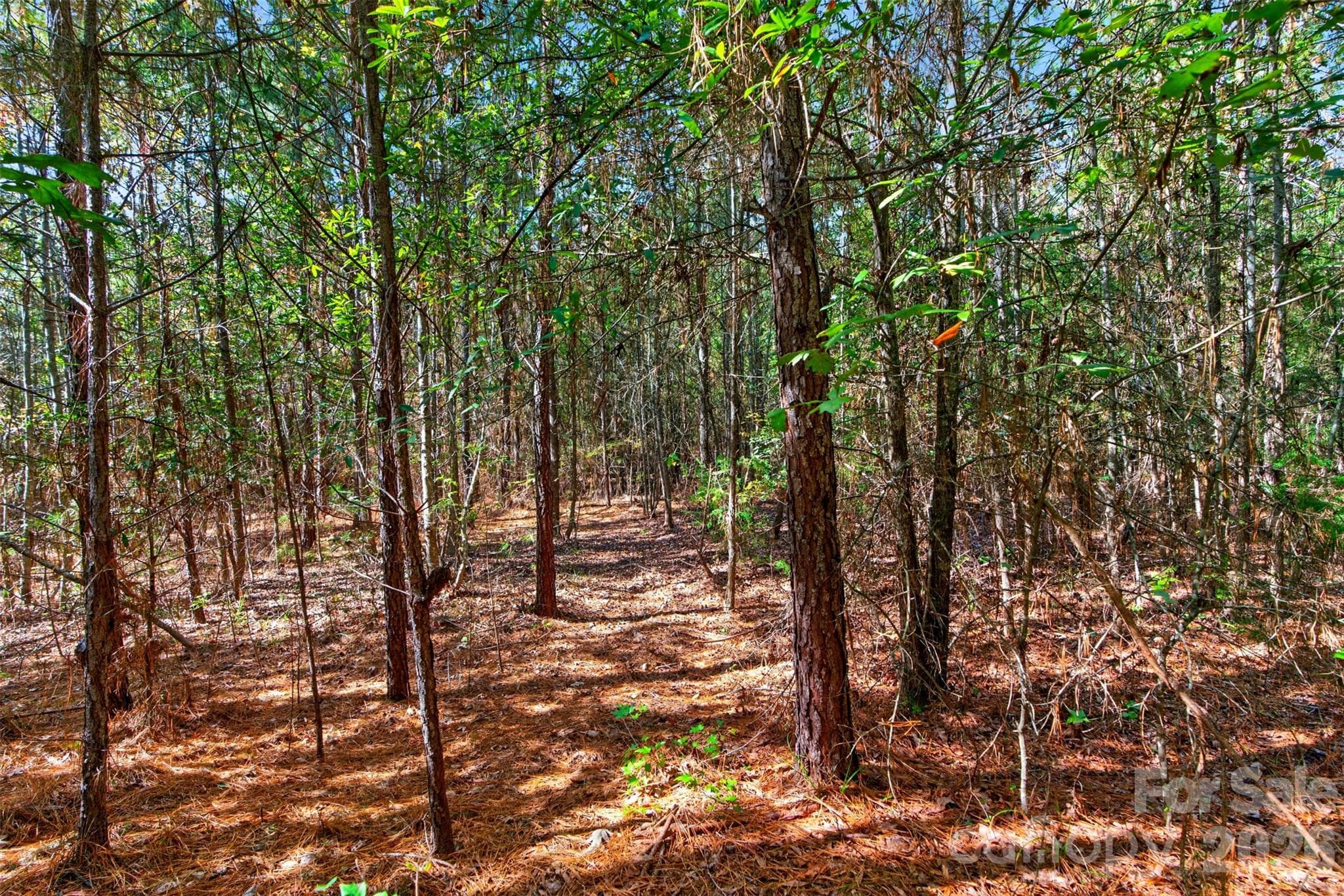 Acreage at 0 Hwy 21 & Brunson Rd Brunson Road, Fort Lawn, photo 24 of 26
