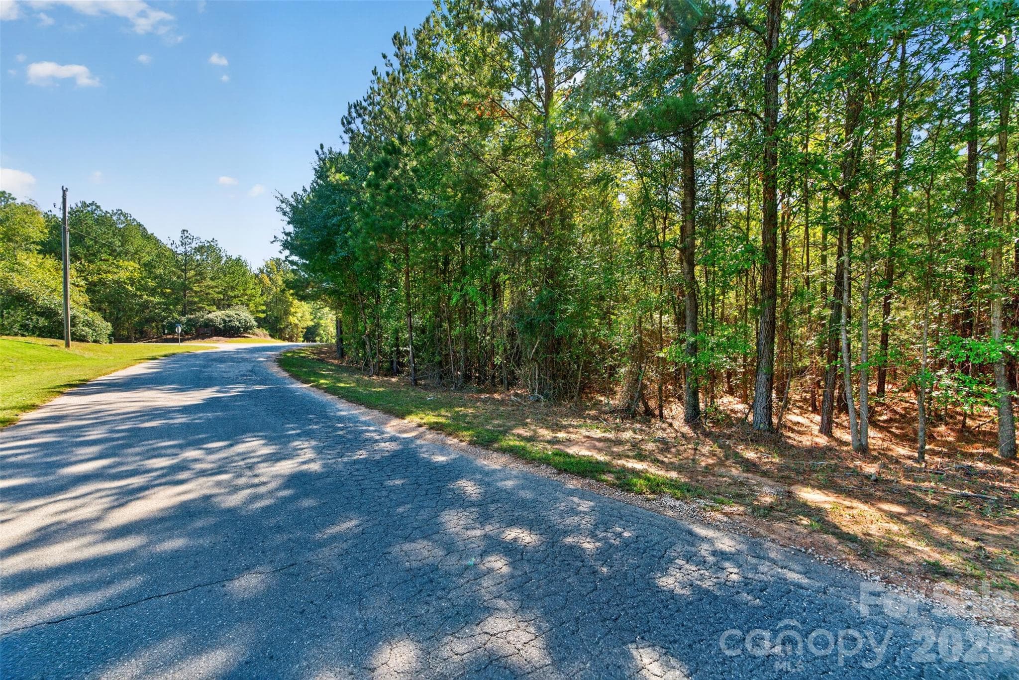 Acreage at 0 Hwy 21 & Brunson Rd Brunson Road, Fort Lawn, photo 25 of 26
