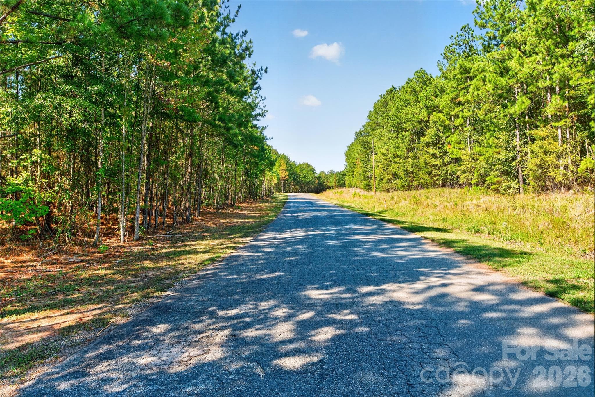 Acreage at 0 Hwy 21 & Brunson Rd Brunson Road, Fort Lawn, photo 26 of 26