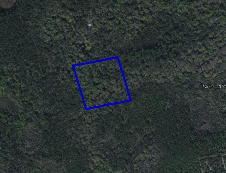 Land at 095 PINE NEEDLE RD, MIMS, photo 2 of 4