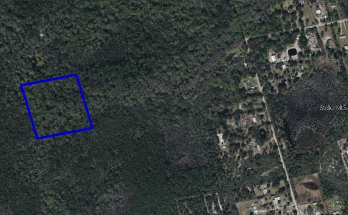 Land at 095 PINE NEEDLE RD, MIMS, photo 3 of 4