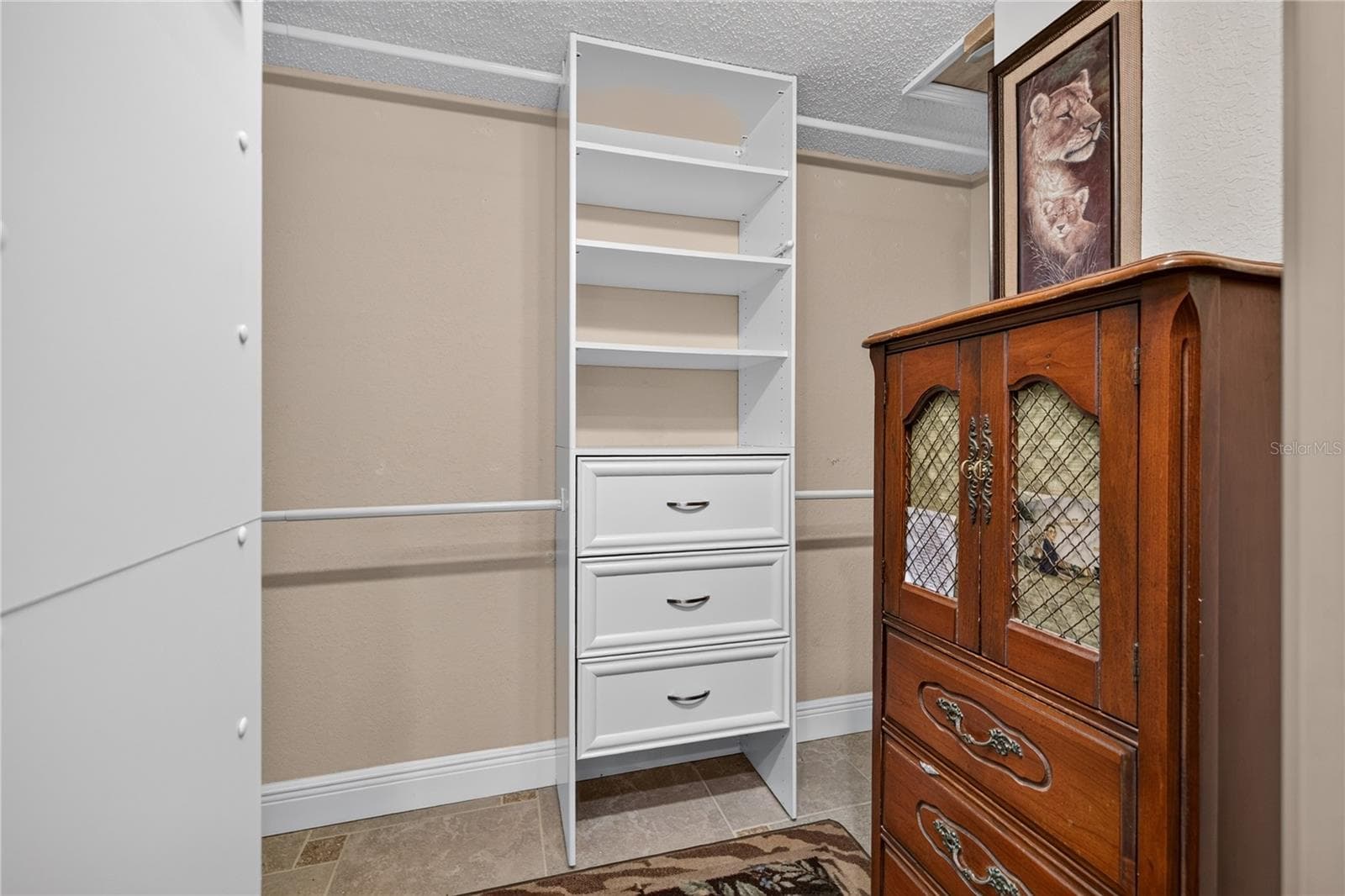 Primary Walk-in Closet - 11800 PARK BLVD #507, SEMINOLE