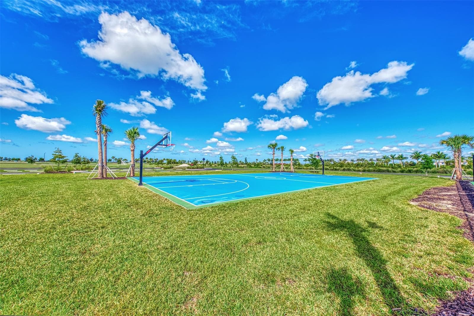 Single Family Residence at 9113 LUNA LN, SARASOTA, photo 86 of 95