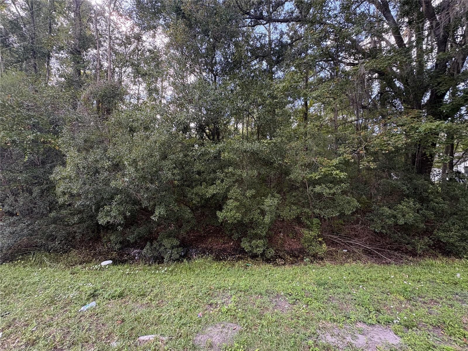 Land at NE CR 200B, LAWTEY, photo 2 of 5