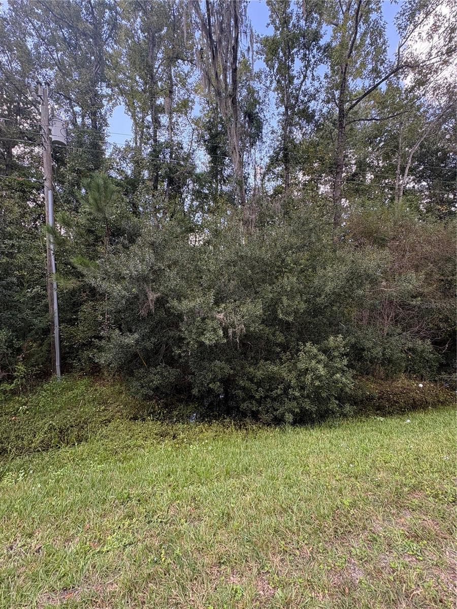 Land at NE CR 200B, LAWTEY, photo 5 of 5