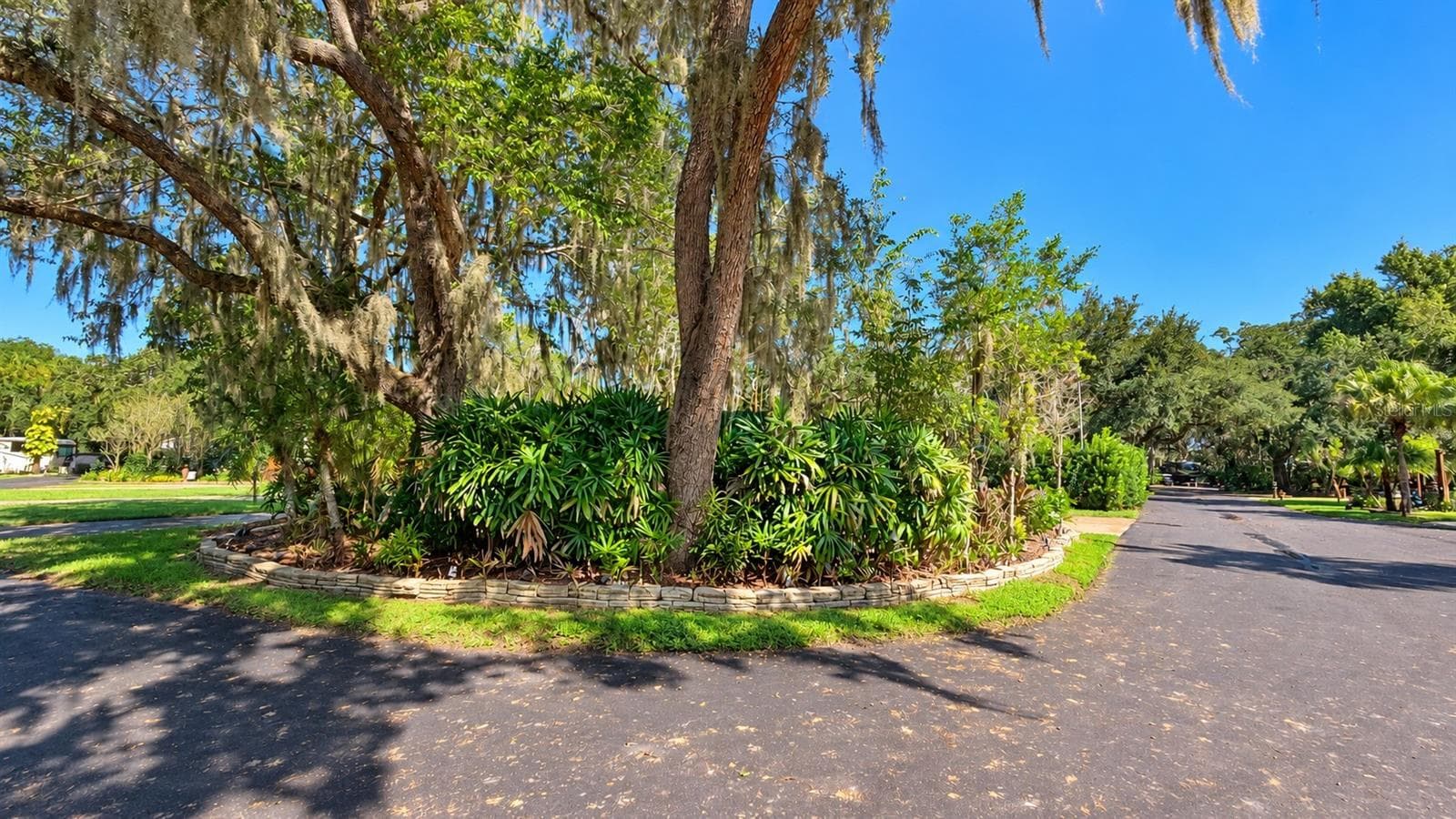 Land at 341 BEAR TRL, LAKE WALES, photo 5 of 27