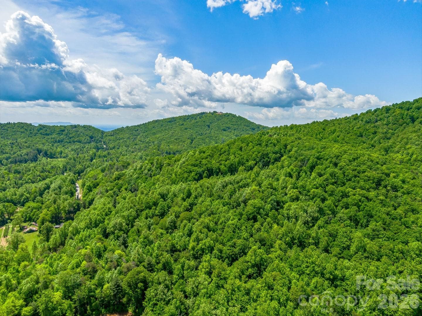 Acreage at 336A S Bobs Creek Road, Zirconia, photo 3 of 14