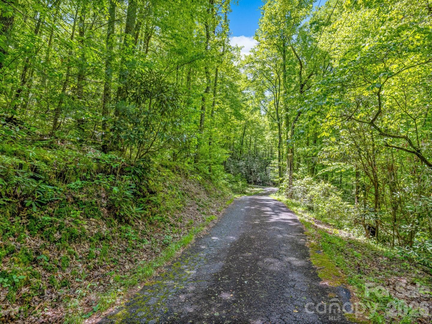 Acreage at 336A S Bobs Creek Road, Zirconia, photo 14 of 14