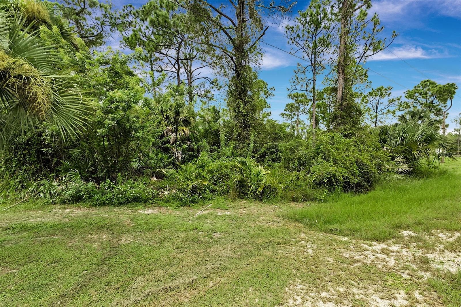 Land at 2011 WELLS AVE, ALVA, photo 9 of 9