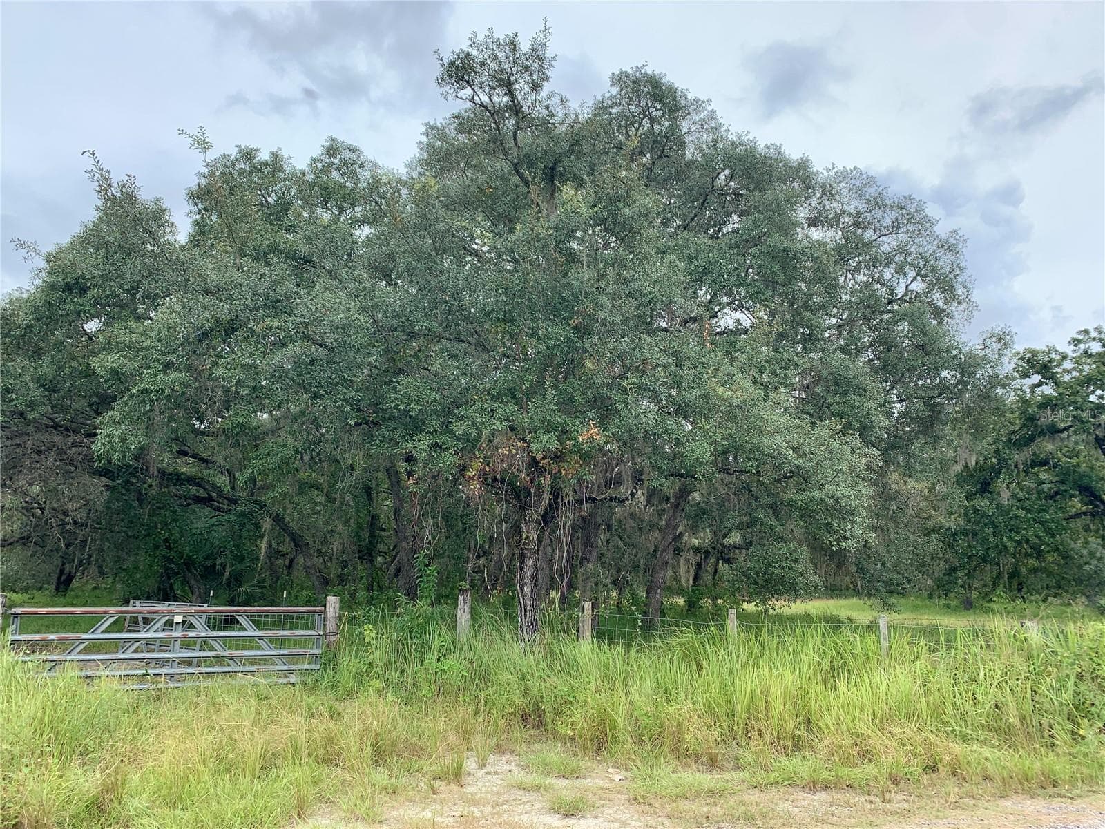 Land at 10425 E MOCCASIN SLOUGH RD, INVERNESS, photo 6 of 19