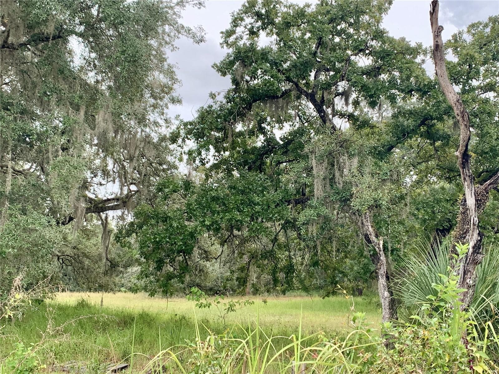 Land at 10425 E MOCCASIN SLOUGH RD, INVERNESS, photo 10 of 19