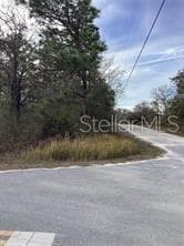 Land at 12449 INDIGO BUNTING RD, WEEKI WACHEE, photo 2 of 5