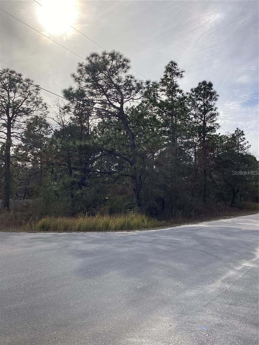 Land at 12449 INDIGO BUNTING RD, WEEKI WACHEE, photo 3 of 5