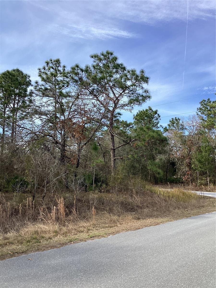 Land at 12449 INDIGO BUNTING RD, WEEKI WACHEE, photo 4 of 5