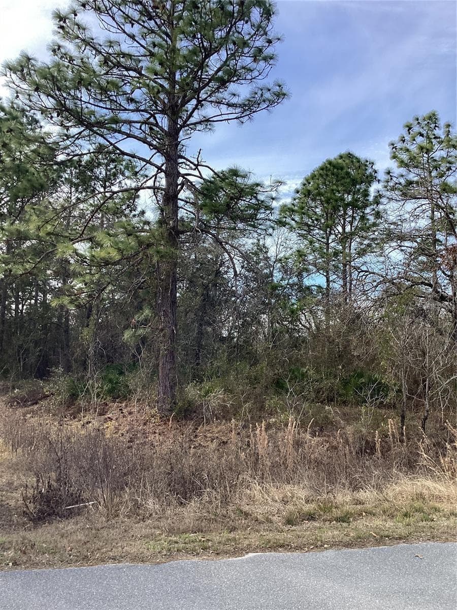 Land at 12449 INDIGO BUNTING RD, WEEKI WACHEE, photo 5 of 5
