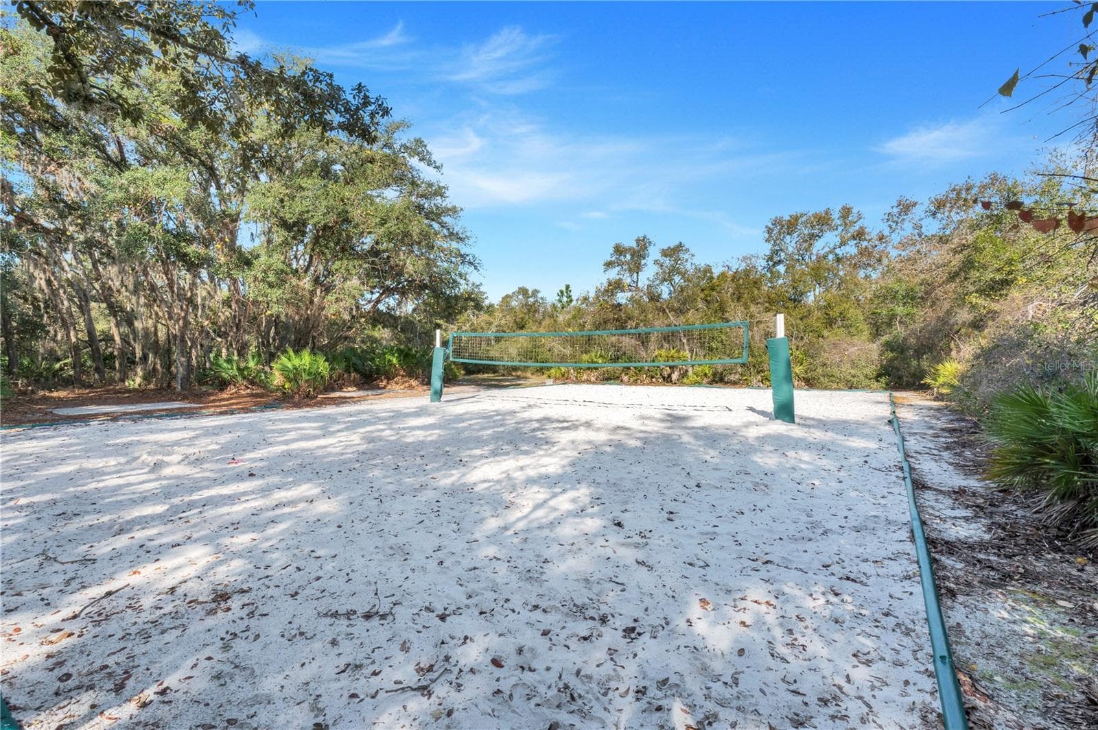 Single Family Residence at 3892 FESCUE ST, CLERMONT, photo 36 of 41