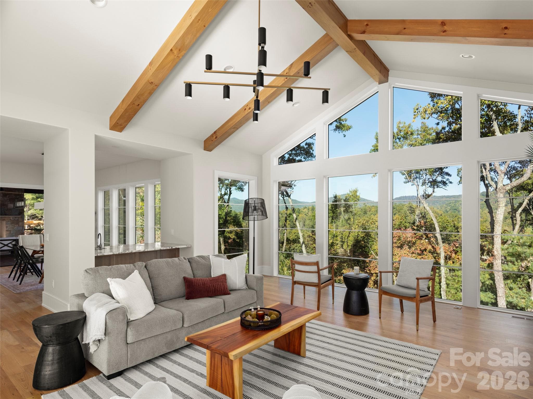 Single Family Residence at 87 Misty Valley Parkway, Arden, photo 8 of 51
