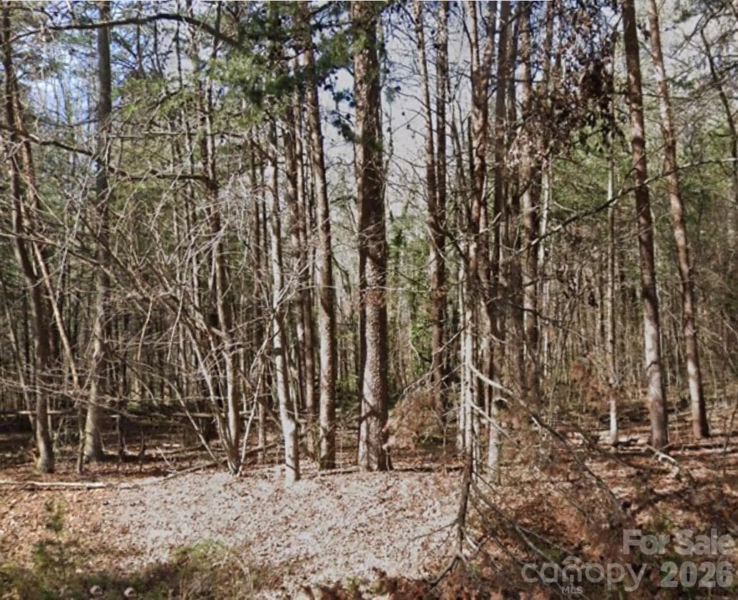 Lot at 4932 Sierra Drive, Maiden, photo 2 of 3