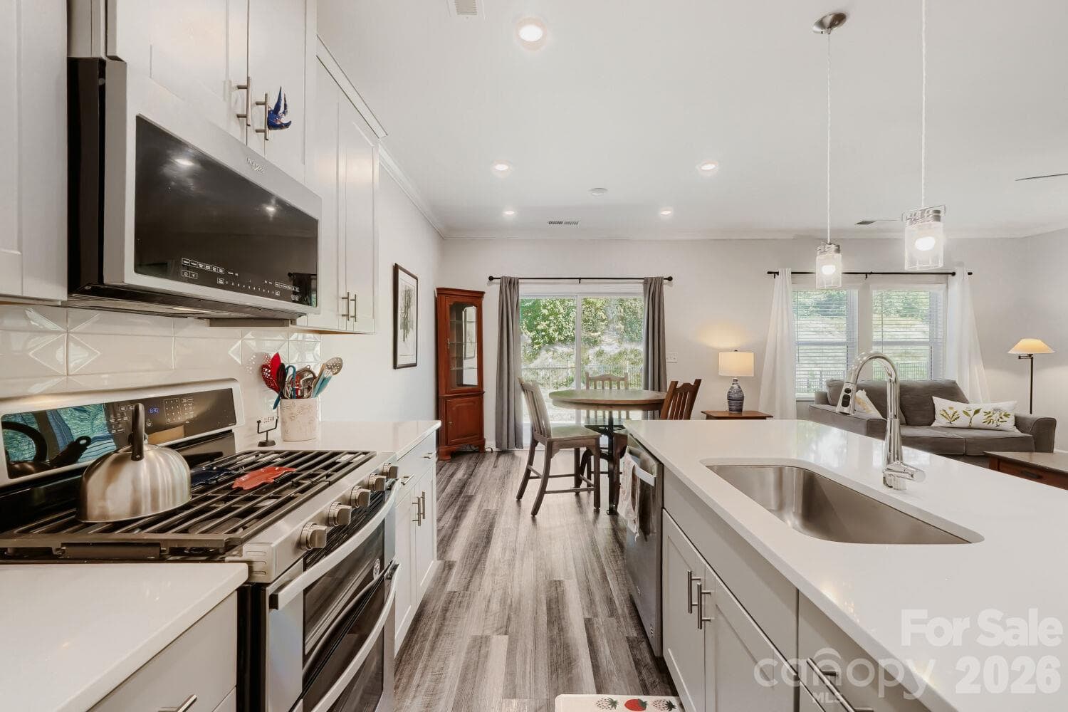 Single Family Residence at 2468 Riparian Way, Denver, photo 10 of 22