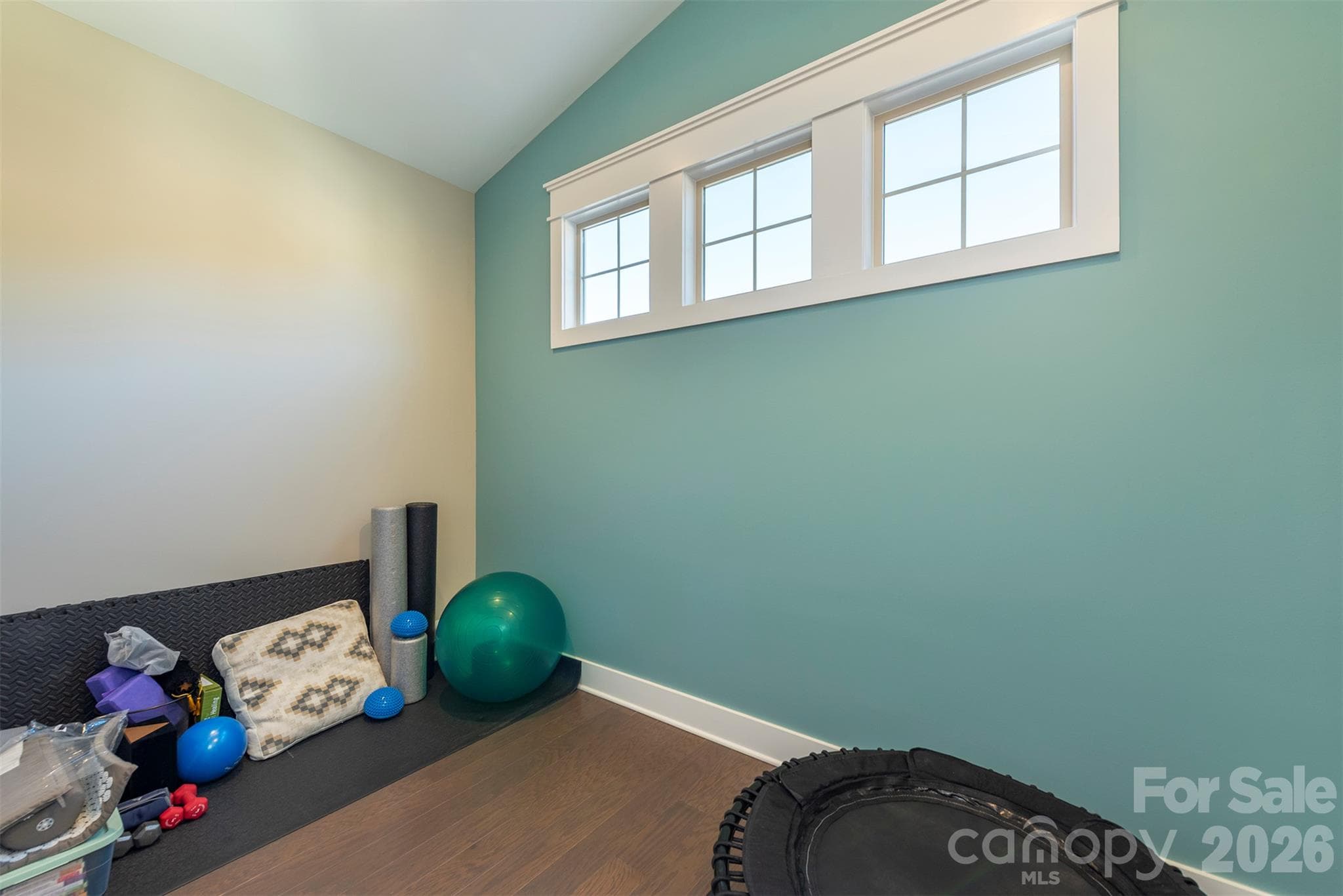 Townhouse at 513 Sweet Birch Park Lane, Black Mountain, photo 26 of 36