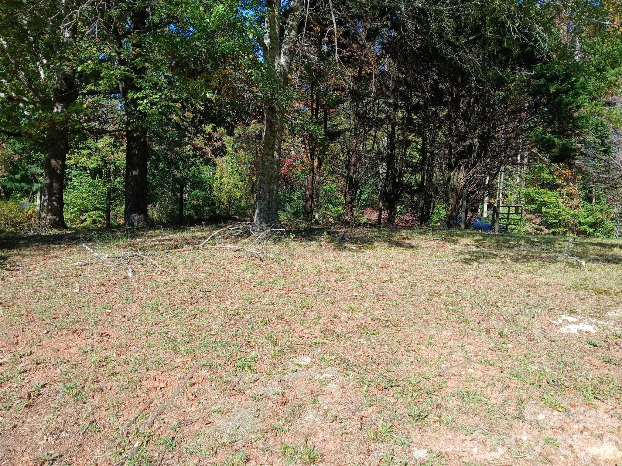 Acreage at 11 Melrose Lake Road, Saluda, photo 4 of 32