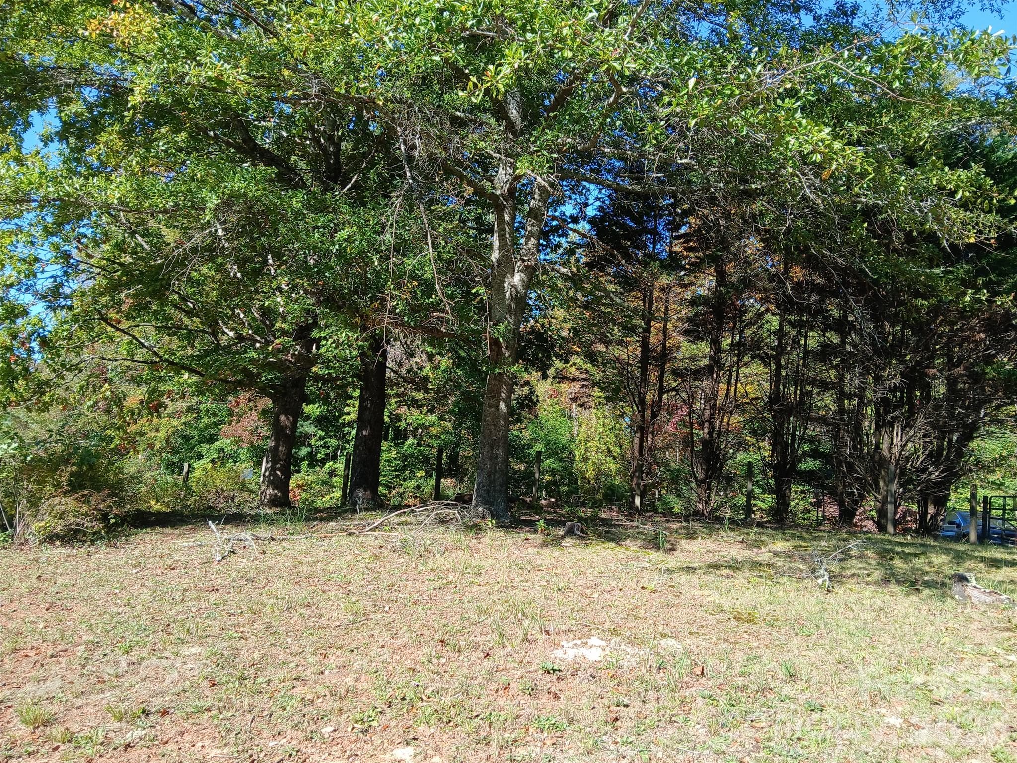 Acreage at 11 Melrose Lake Road, Saluda, photo 5 of 32