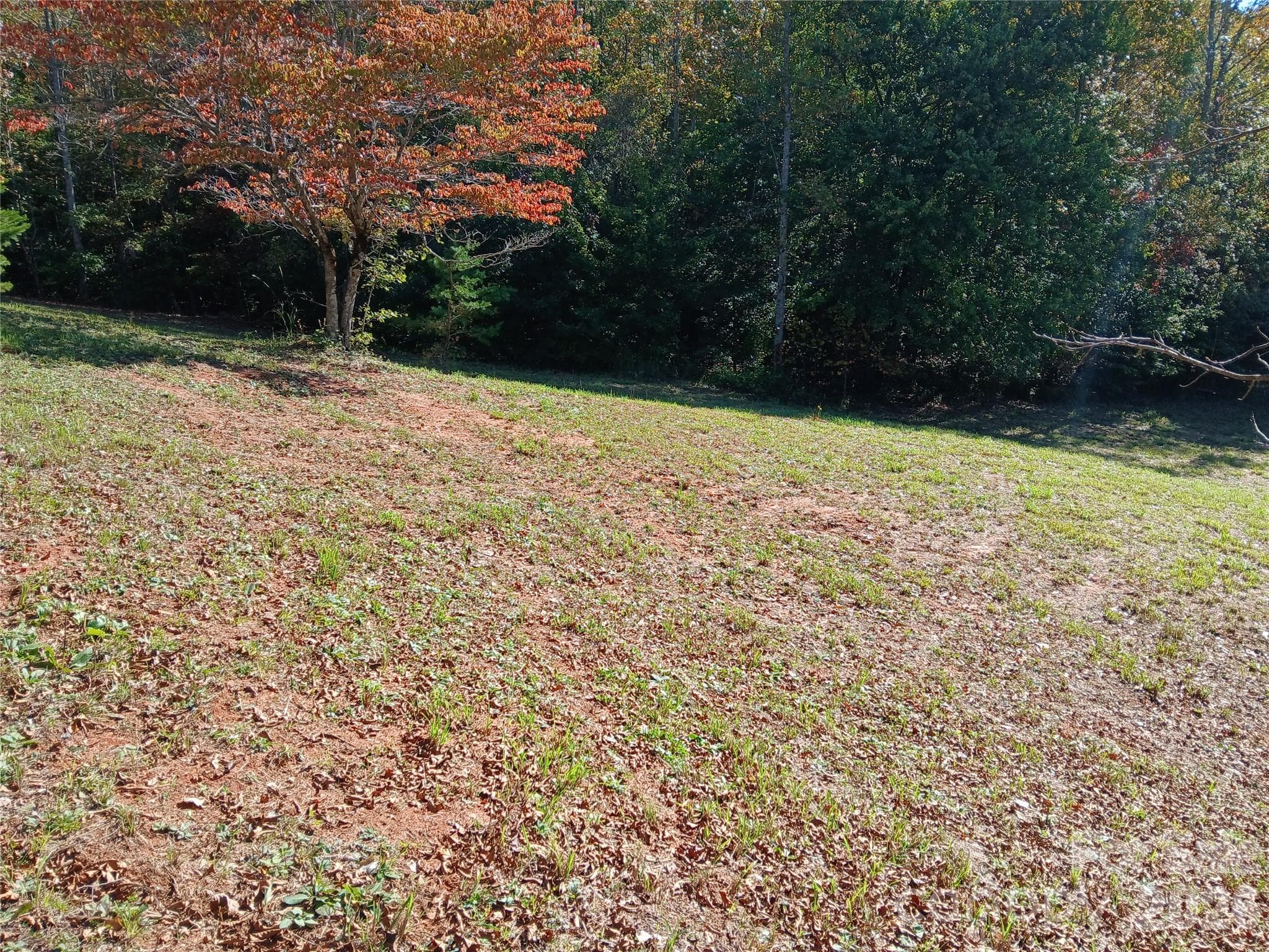 Acreage at 11 Melrose Lake Road, Saluda, photo 6 of 32