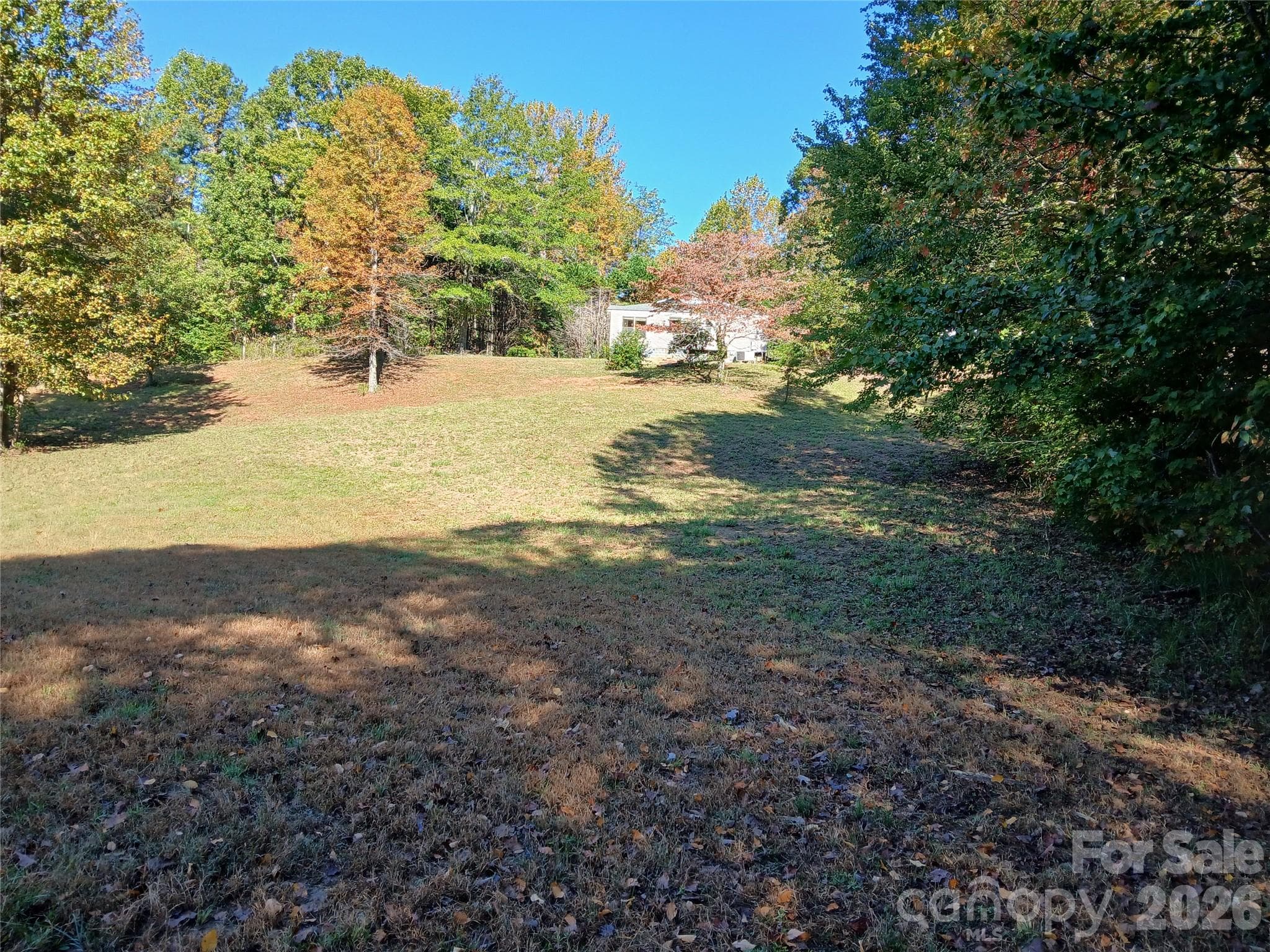 Acreage at 11 Melrose Lake Road, Saluda, photo 7 of 32