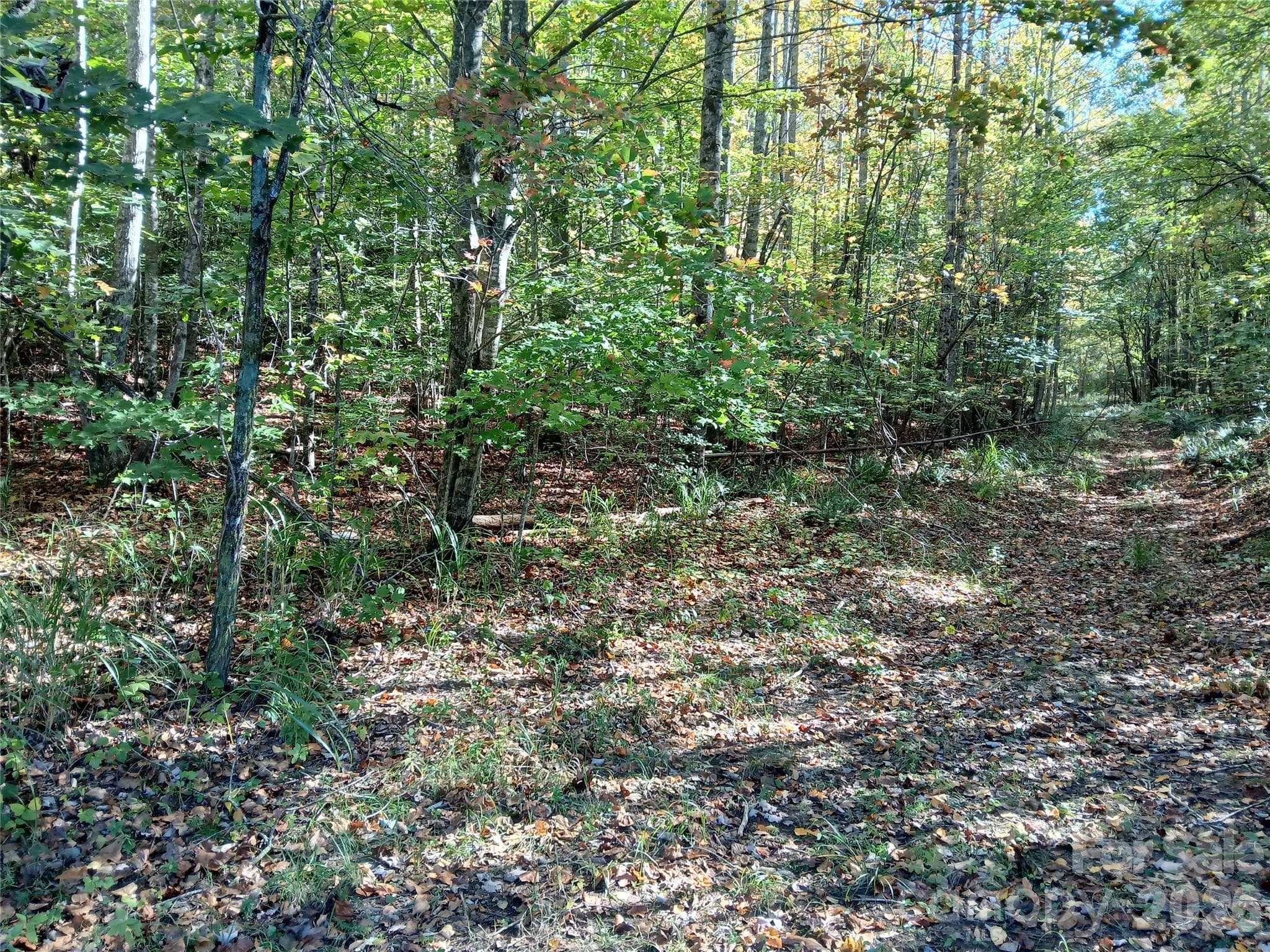 Acreage at 11 Melrose Lake Road, Saluda, photo 8 of 32
