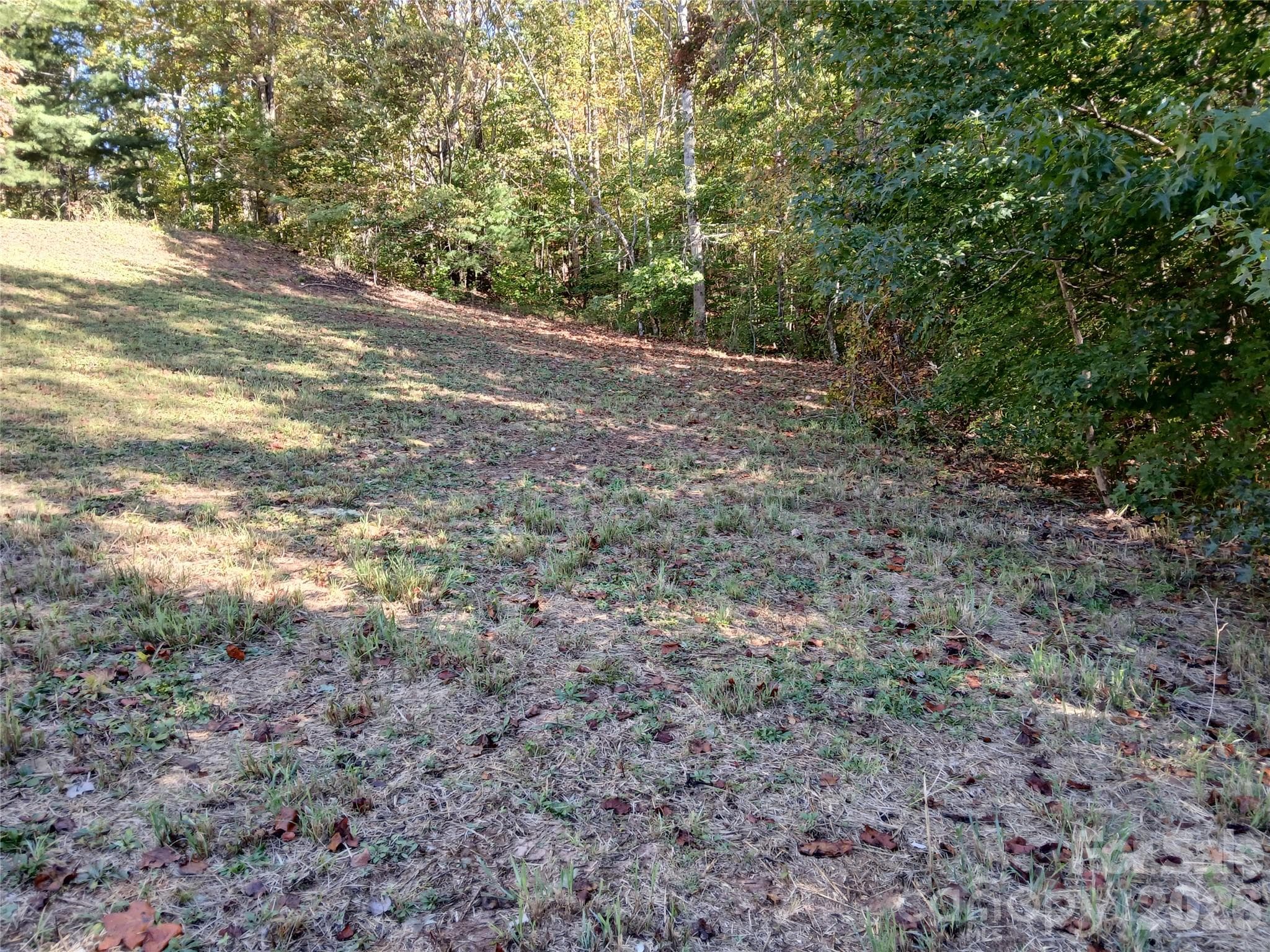 Acreage at 11 Melrose Lake Road, Saluda, photo 10 of 32