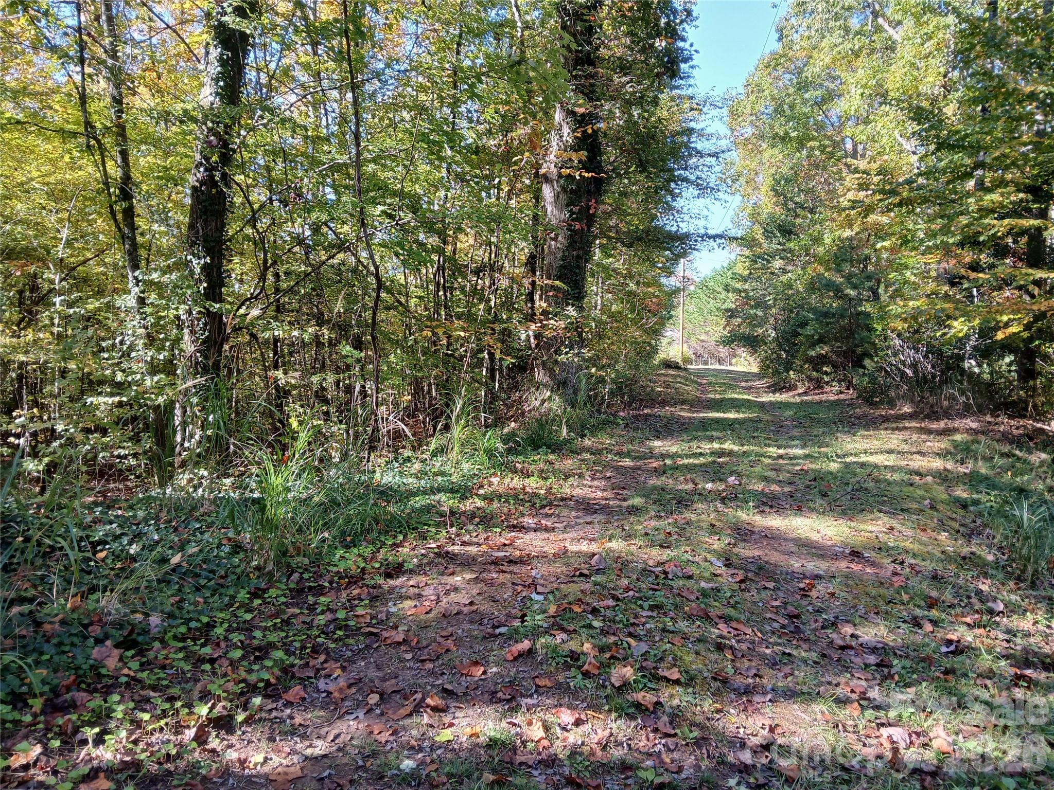 Acreage at 11 Melrose Lake Road, Saluda, photo 17 of 32
