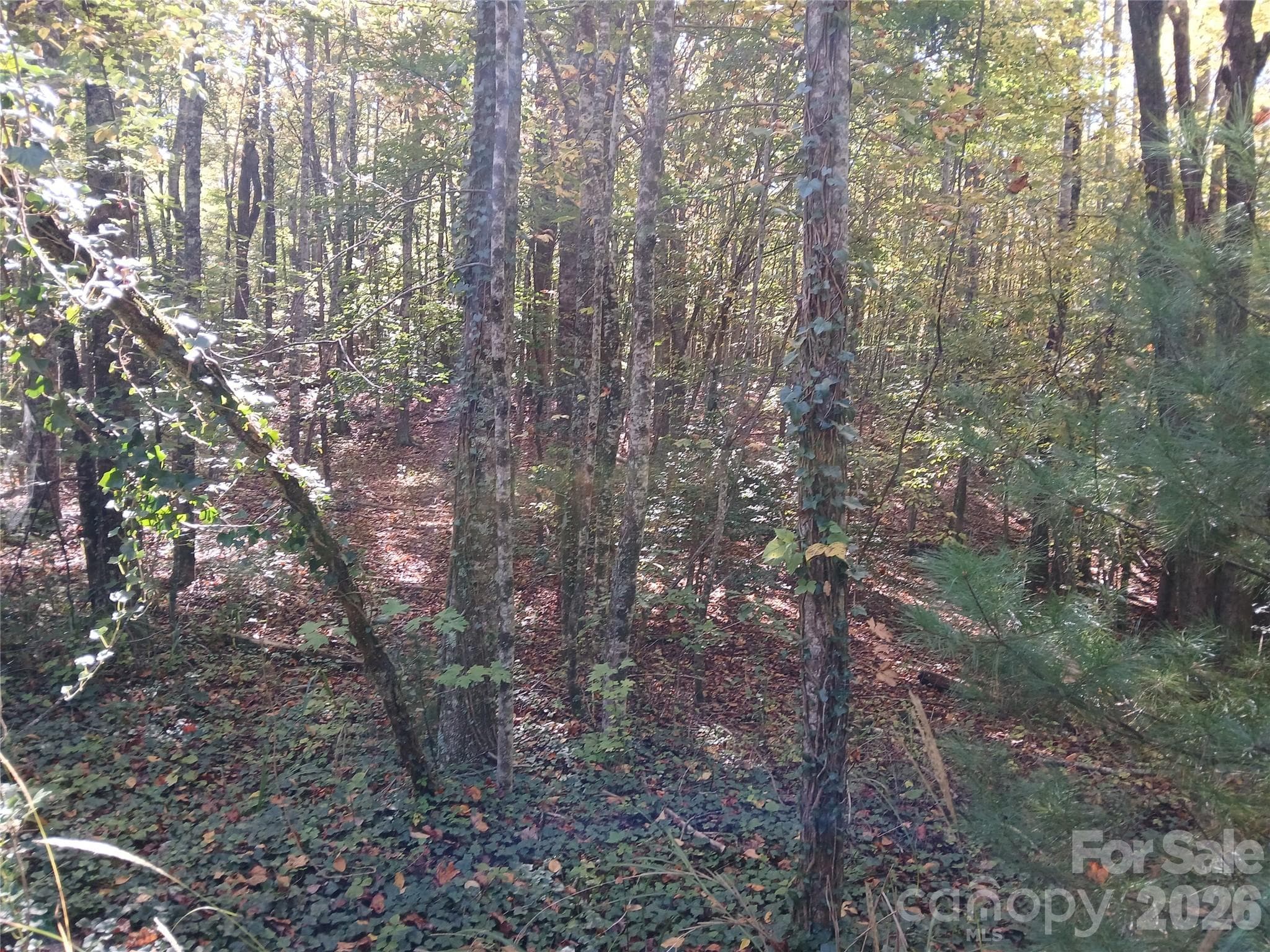 Acreage at 11 Melrose Lake Road, Saluda, photo 18 of 32