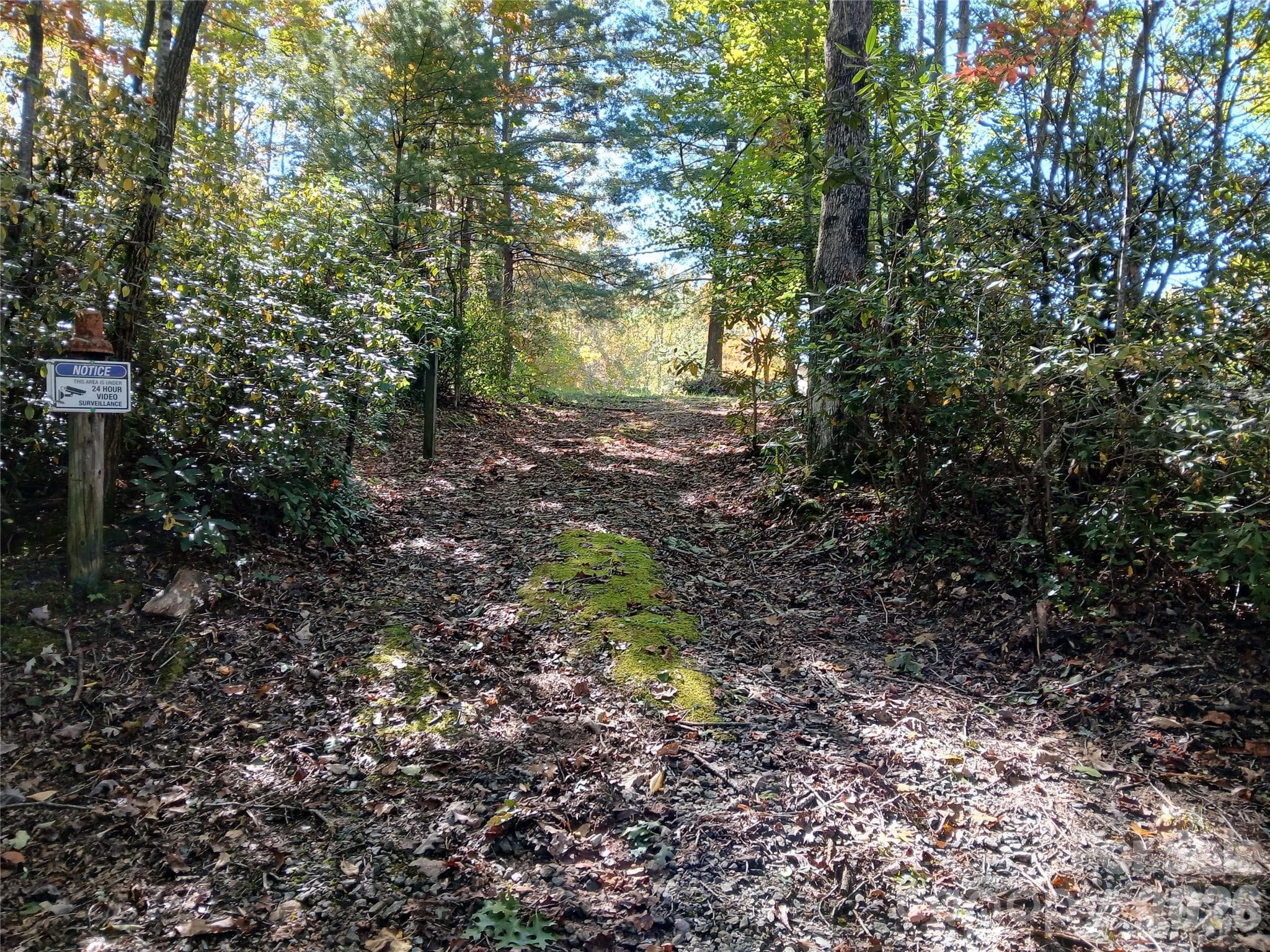 Acreage at 11 Melrose Lake Road, Saluda, photo 19 of 32