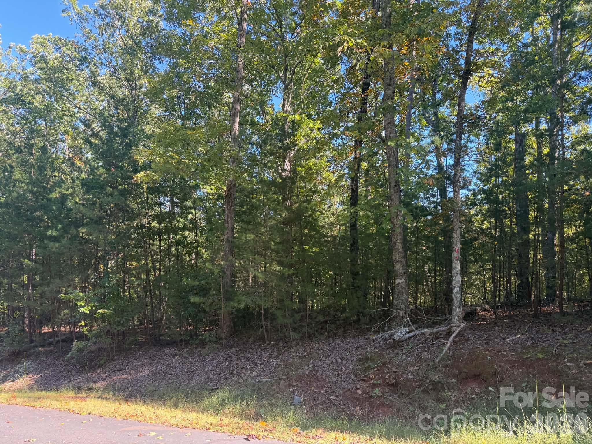Lot at 00 Grindstone Drive, Nebo, photo 6 of 9