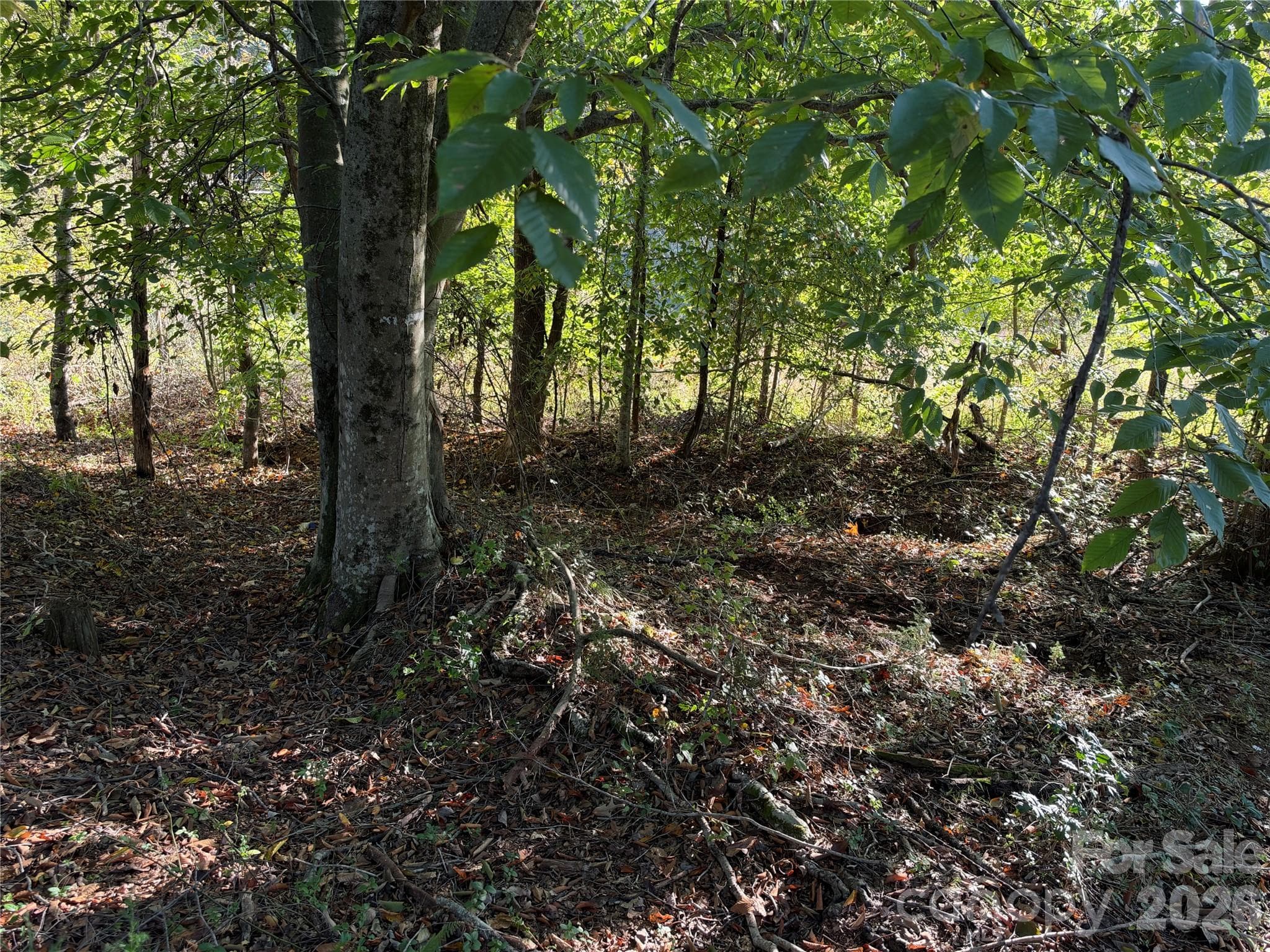 Lot at 2211 High Rock Road, Boomer, photo 9 of 9