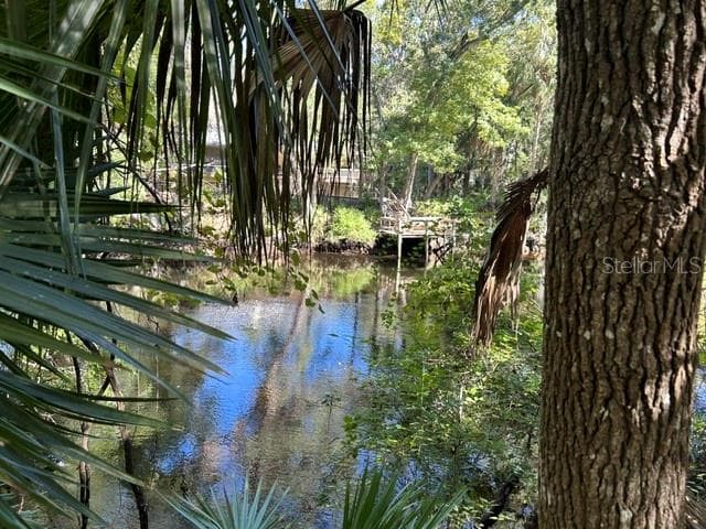 Land at 13707 W FOSS GROVES PATH, INGLIS, photo 4 of 39