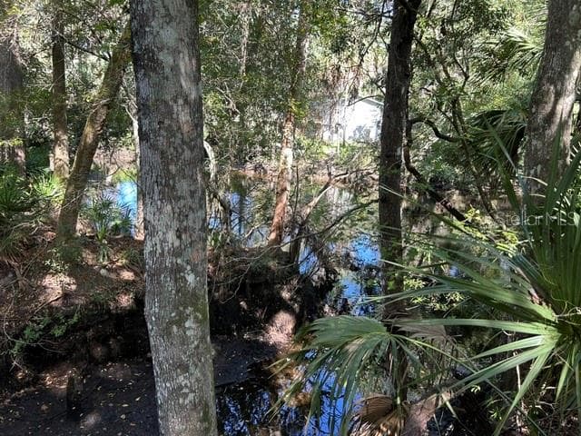 Land at 13707 W FOSS GROVES PATH, INGLIS, photo 20 of 39