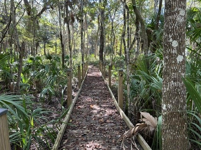Land at 13707 W FOSS GROVES PATH, INGLIS, photo 23 of 39