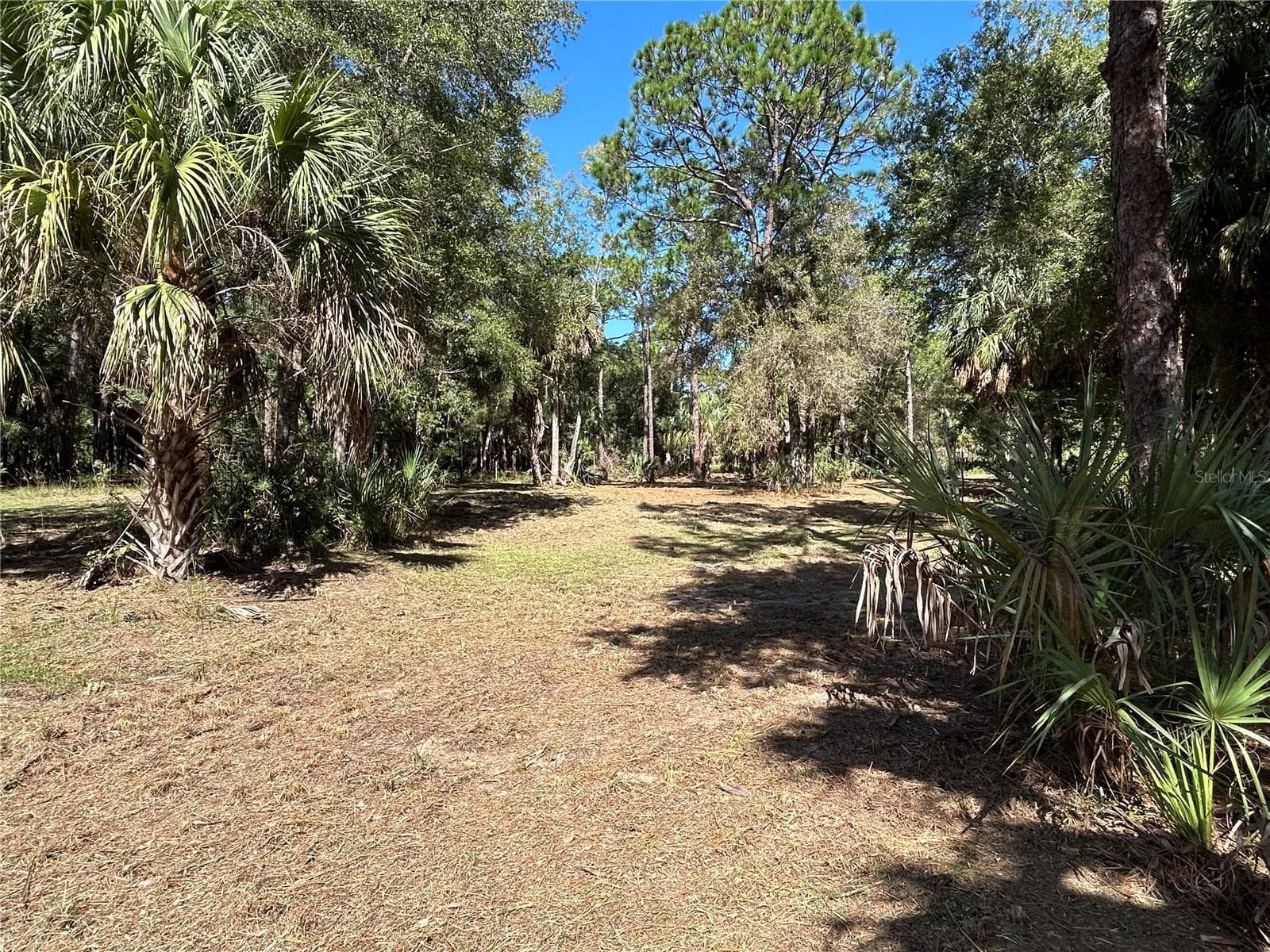 Land at 13707 W FOSS GROVES PATH, INGLIS, photo 25 of 39