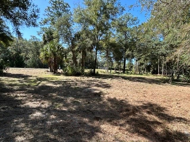 Land at 13707 W FOSS GROVES PATH, INGLIS, photo 26 of 39