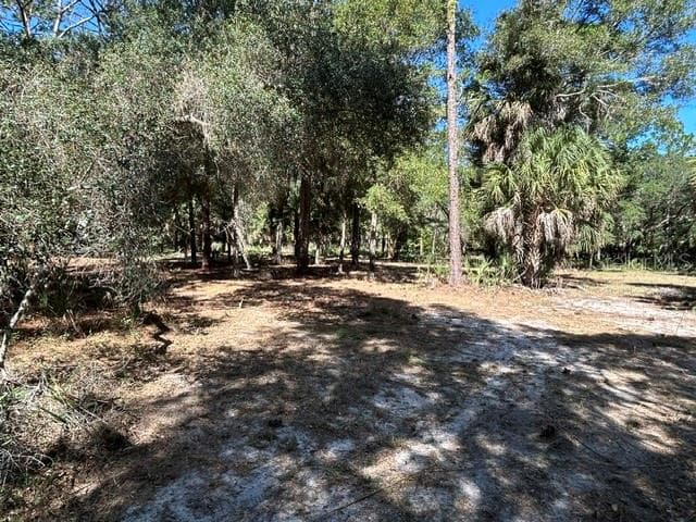 Land at 13707 W FOSS GROVES PATH, INGLIS, photo 28 of 39